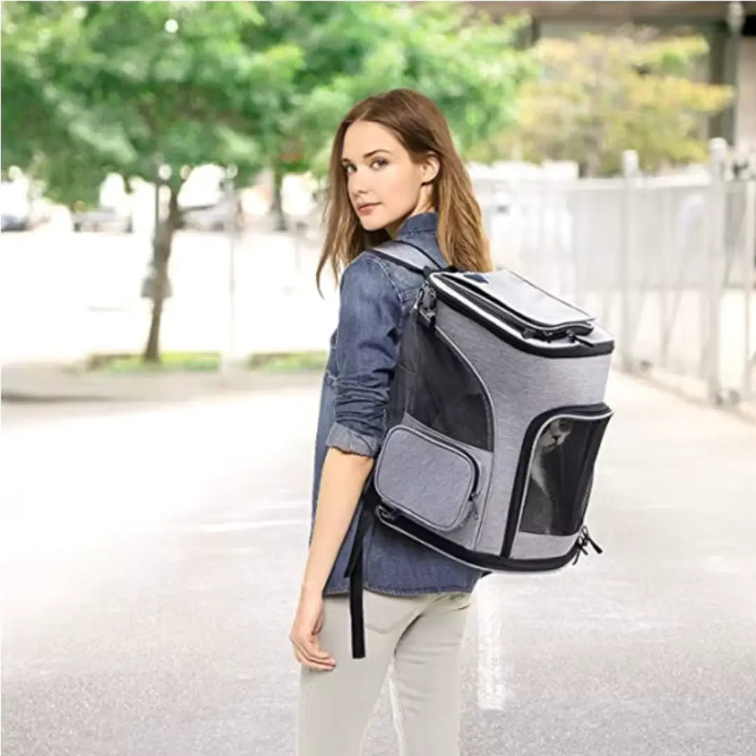 Ampio contatto visivo per ridurre lo stress del tuo pet