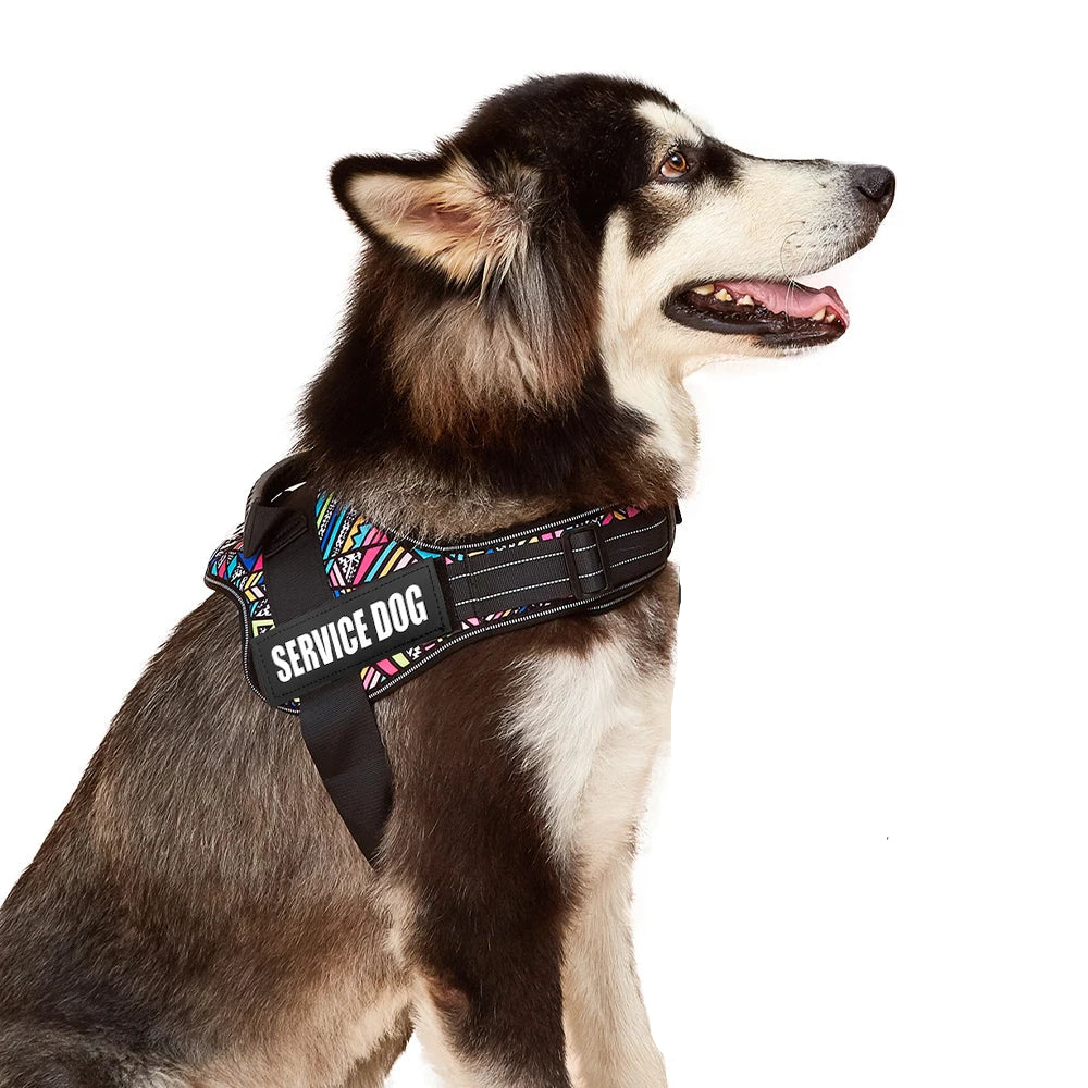 Pettorina cane comfort collo