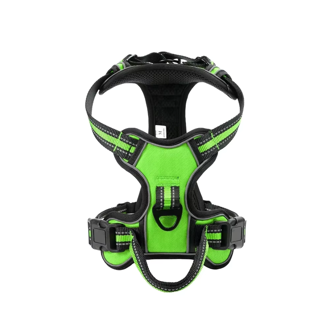 Cintura Di Sicurezza Per Cani In Auto - 2 Pezzi Con Ammortizzatore Elastico E Sacca Portaoggetti (Nero) - Foto 2