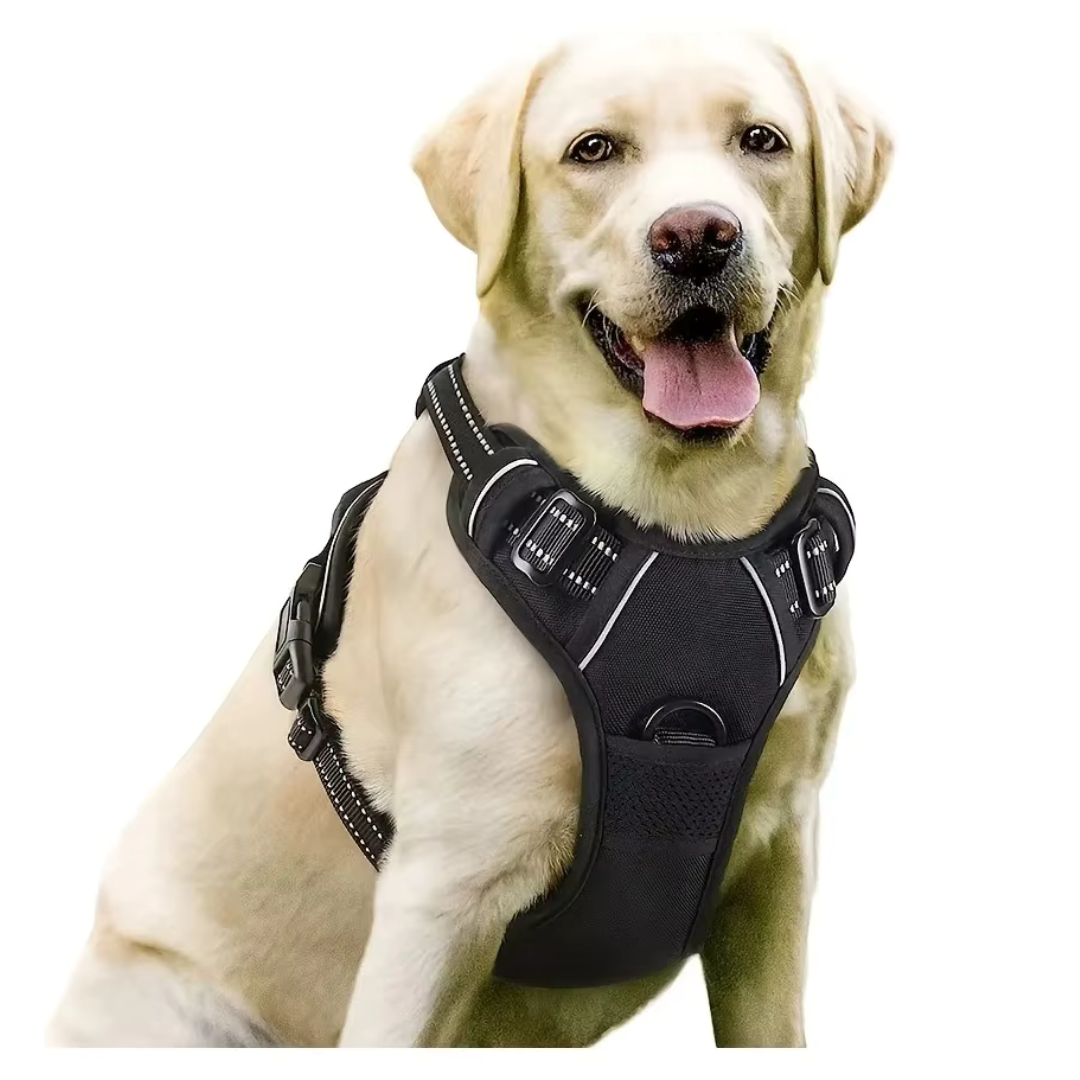 pettorina_cane_sicuro_anti-tiro