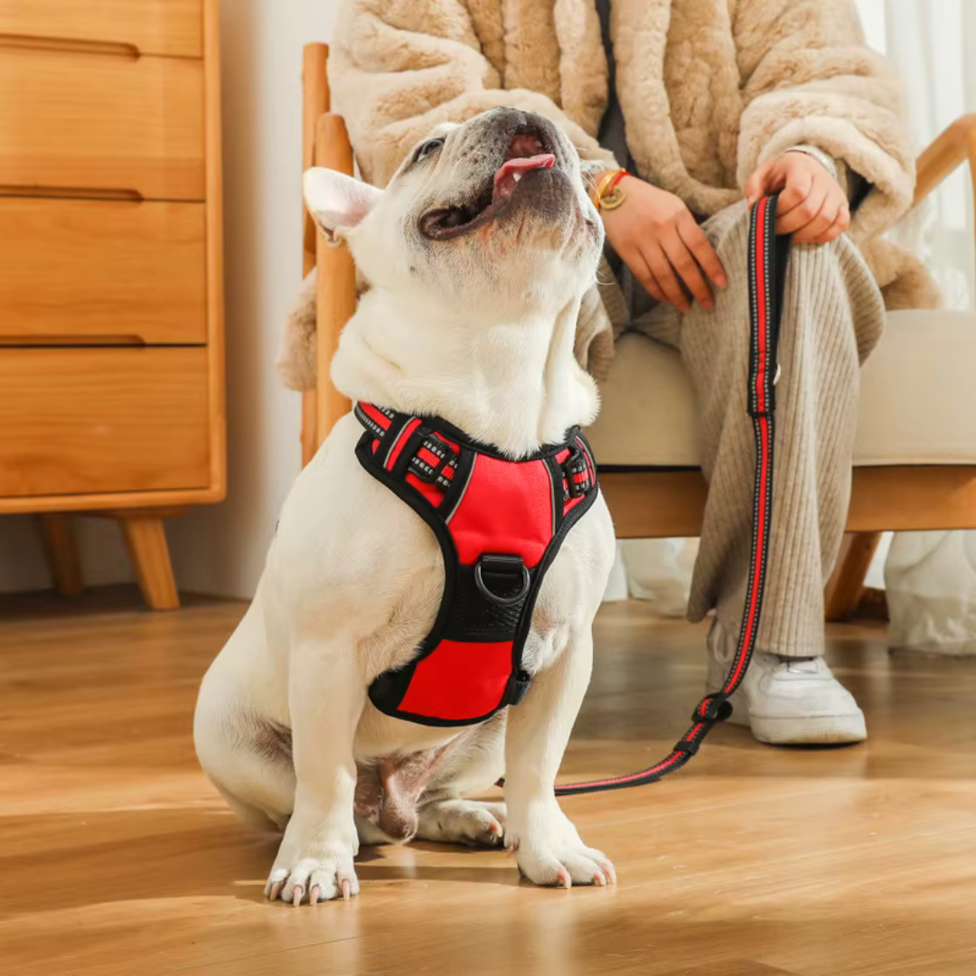 pettorina_cane_sicuro_anti-tiro traspirante