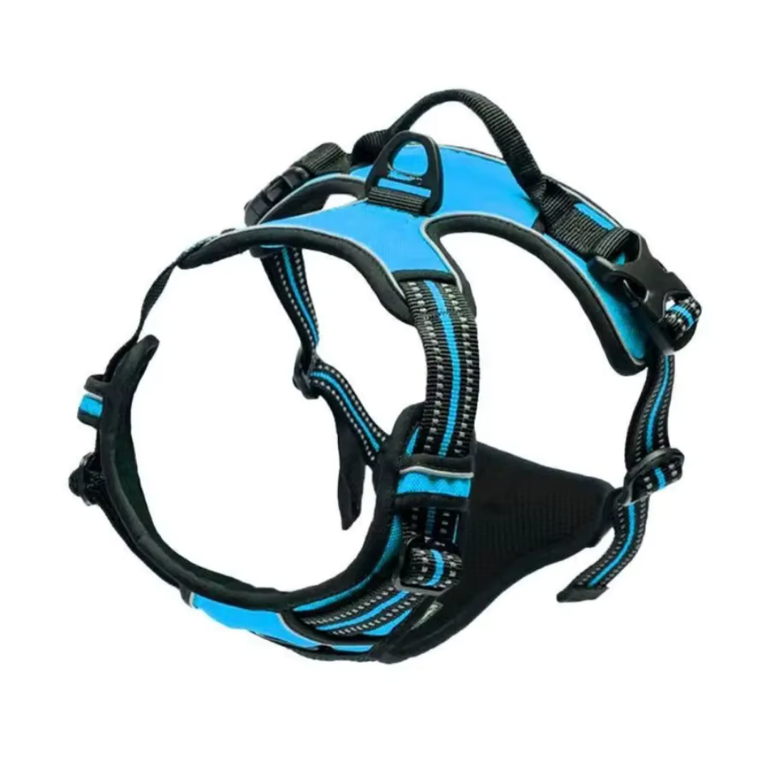 pettorina_cane_sicuro_pratico blu