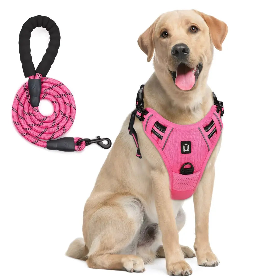 Pettorina comoda e sicura per cani di tutte le taglie, con design anti-tiro e materiale resistente per passeggiate confortevoli.