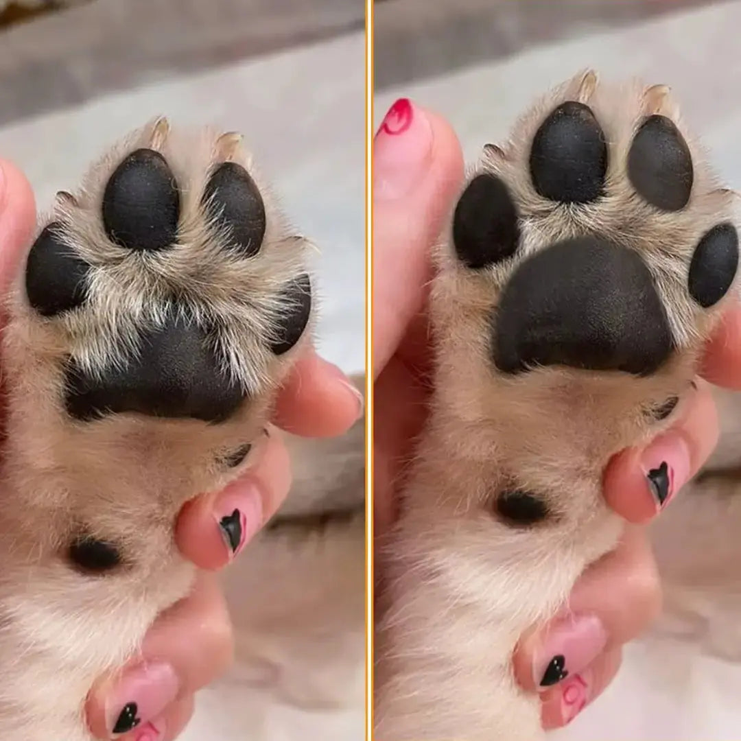 rasoio_elettrico_per_cani_e_gatti Pima_e_dopo