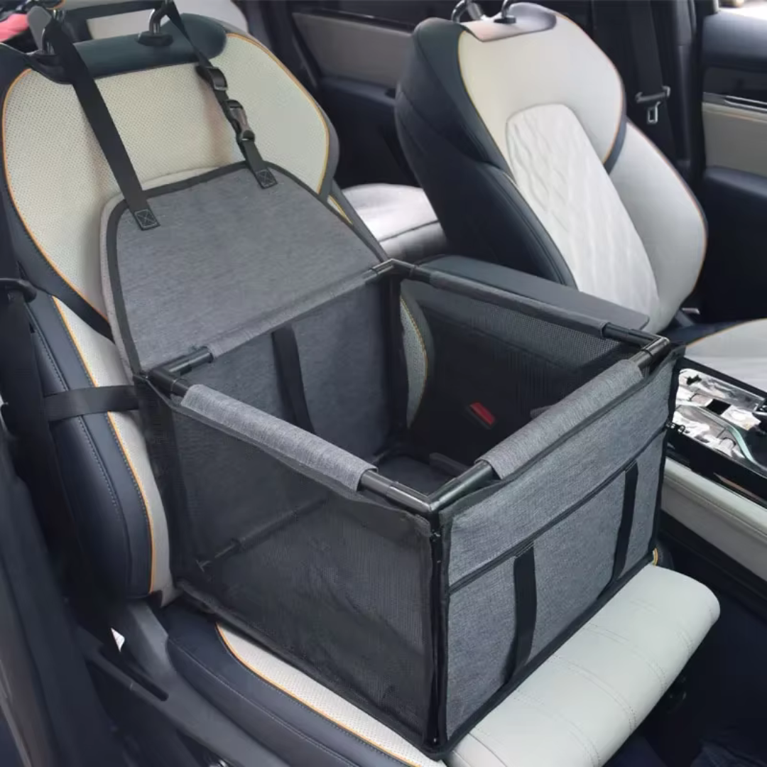 seggiolino auto gatti grigio