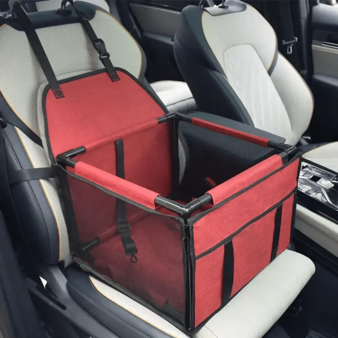 seggiolino_auto_gatti_rosso