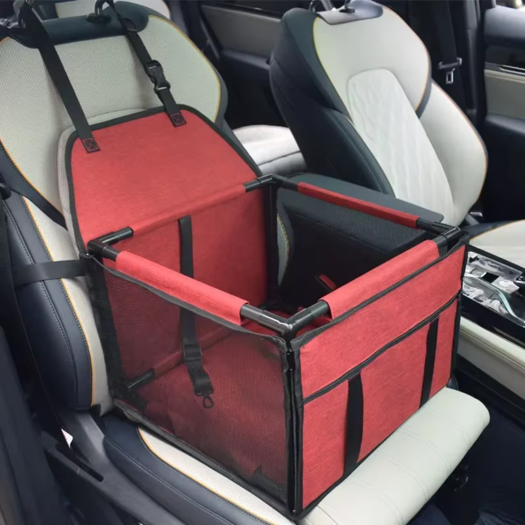seggiolino_auto_gatti_rosso