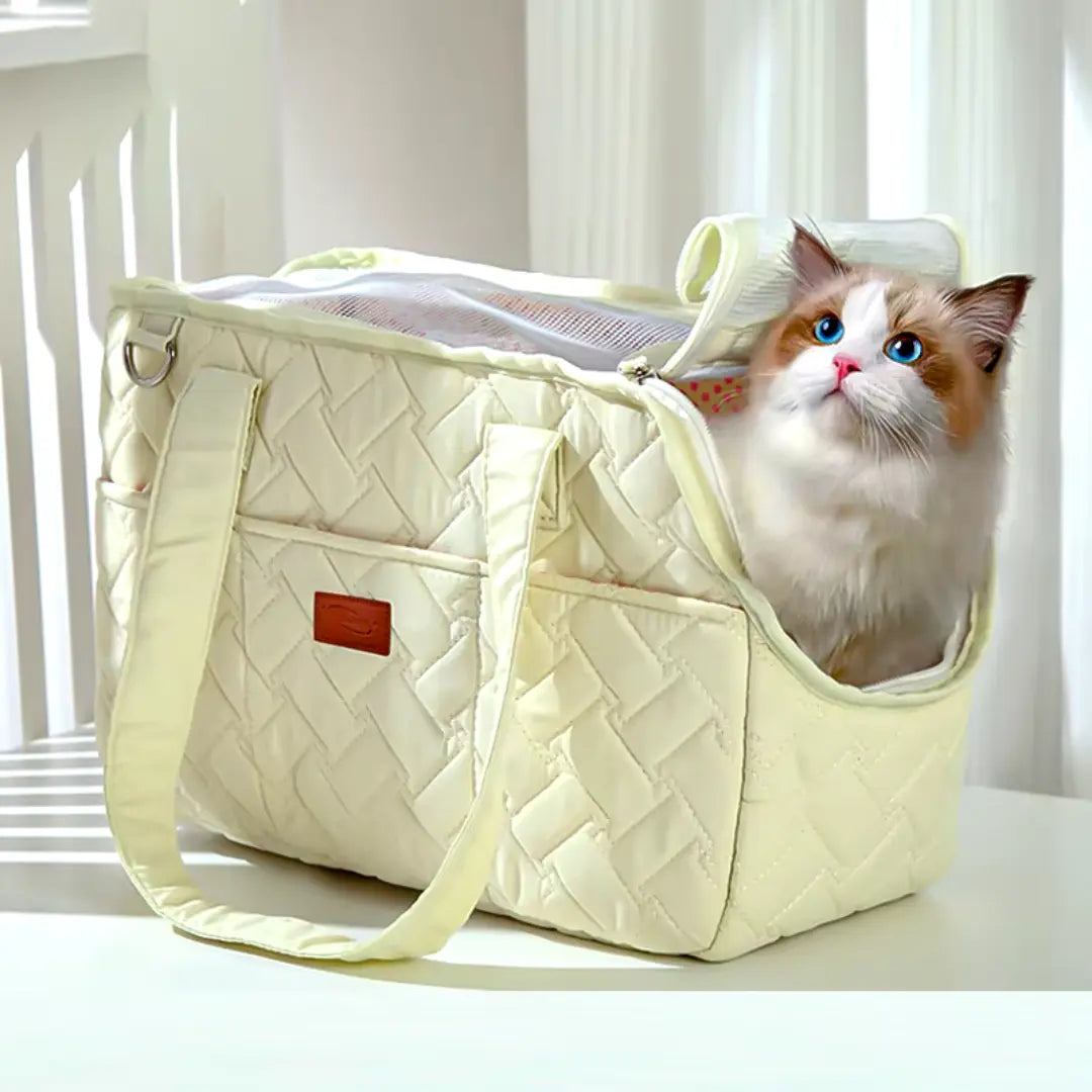 Borsa_da_viaggio_per_gatti_e_cani