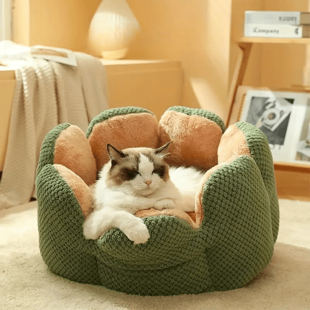 Gatto che si riposa nella cuccia 