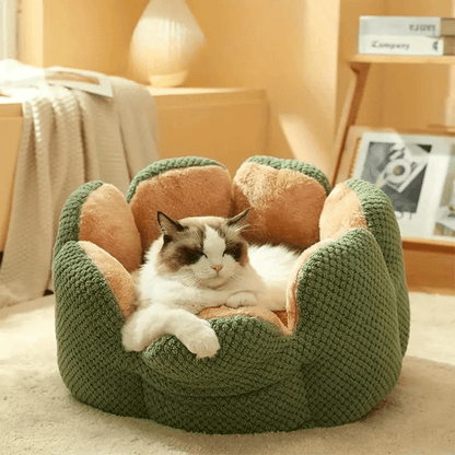 Gatto che si riposa nella cuccia 