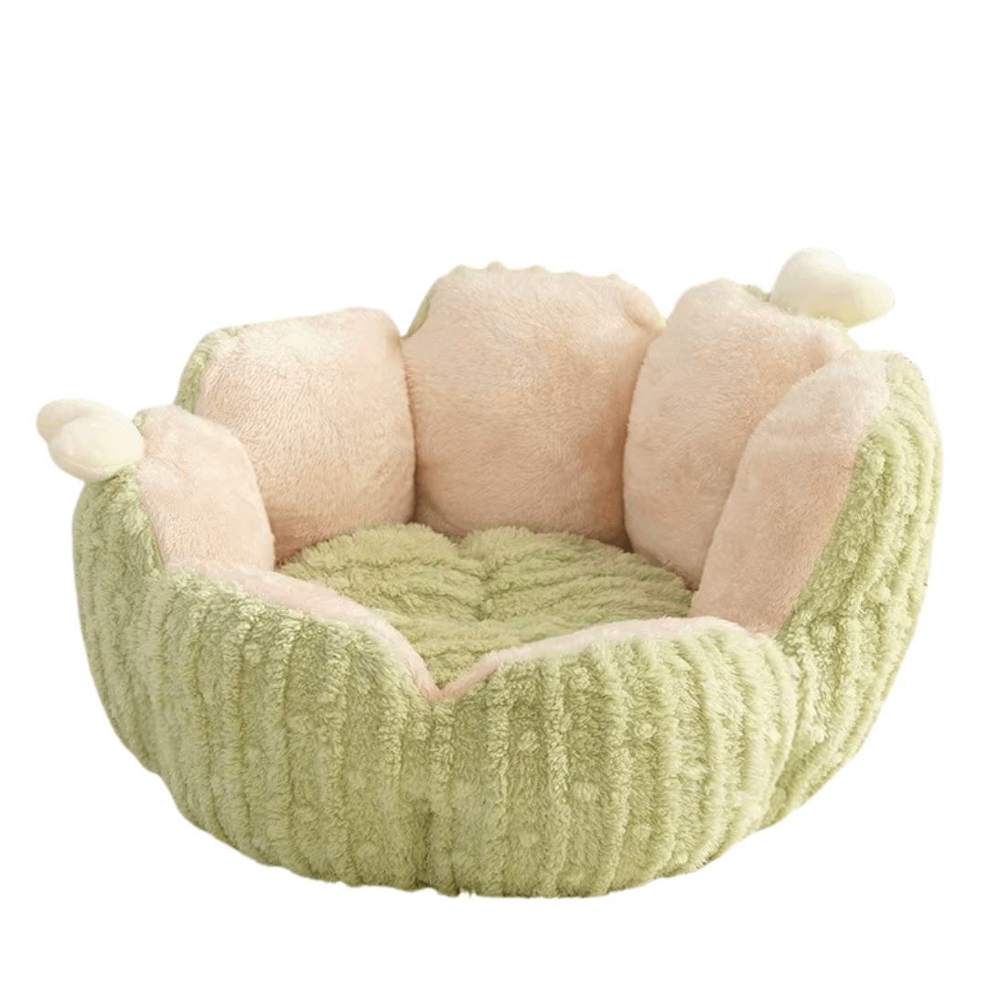 Cuccia per gatto da interno verde design elegante