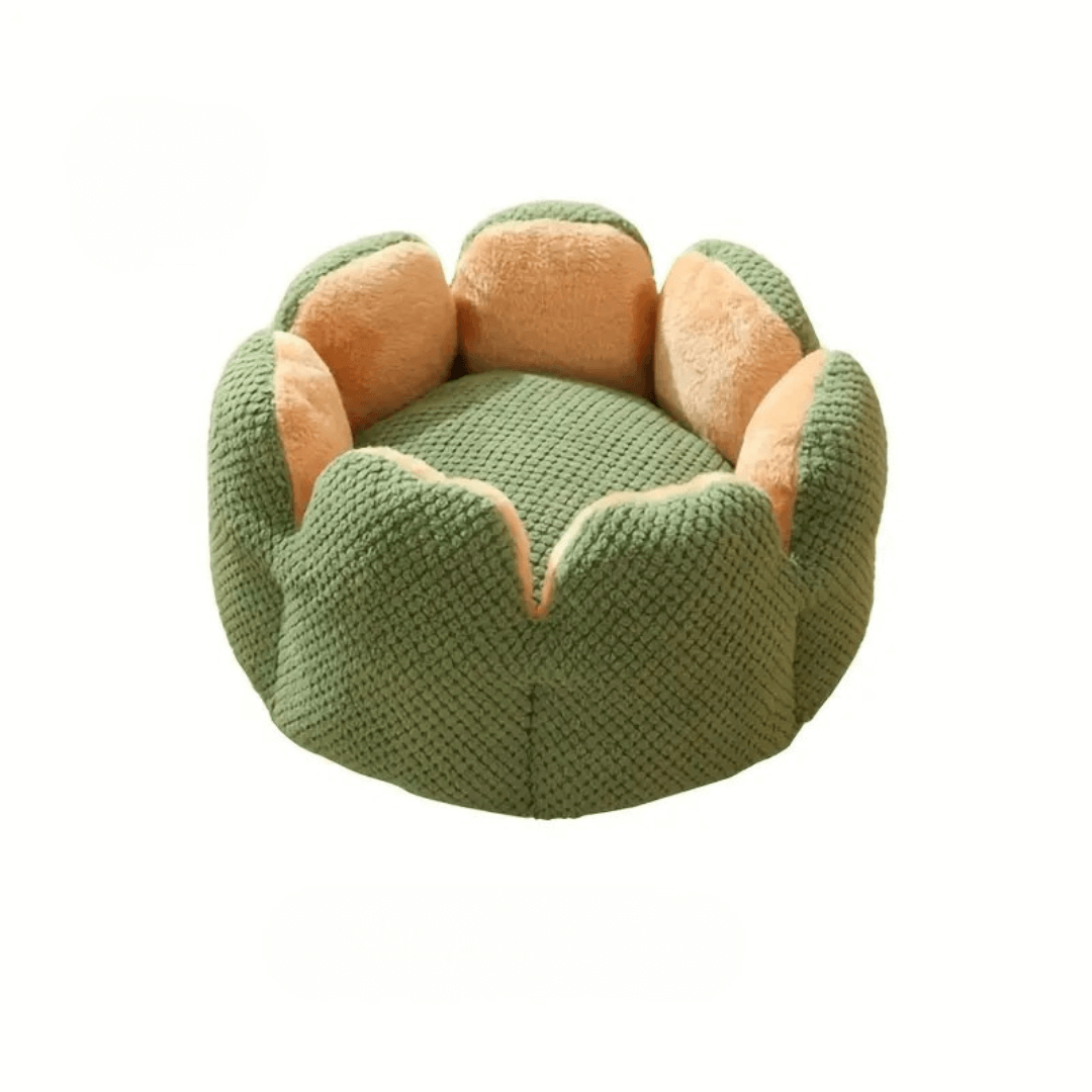 Cuccia a forma di cactus taglia media