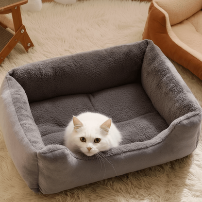 Gatto che guarda la camera seduto dal divanetto per gatti letto cuccia 