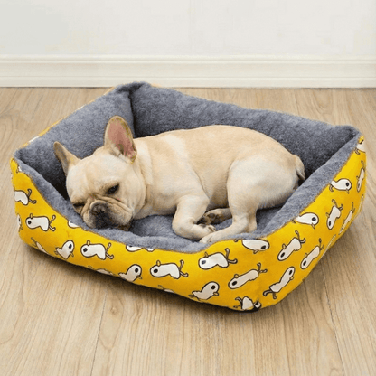 Cane piccolo sdraiato nel divanetto per cani