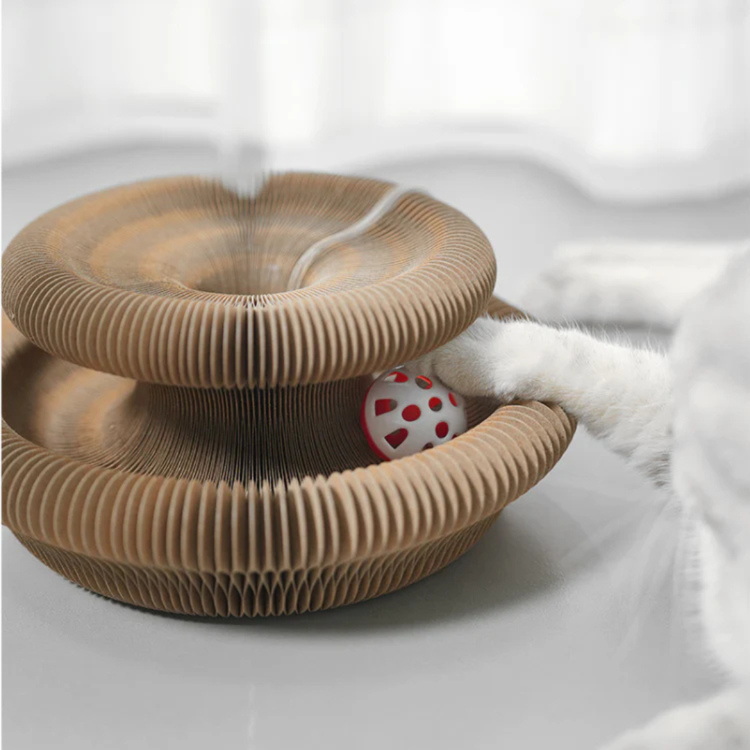 Graffiatoio per gatti pieghevole e facile da riporre