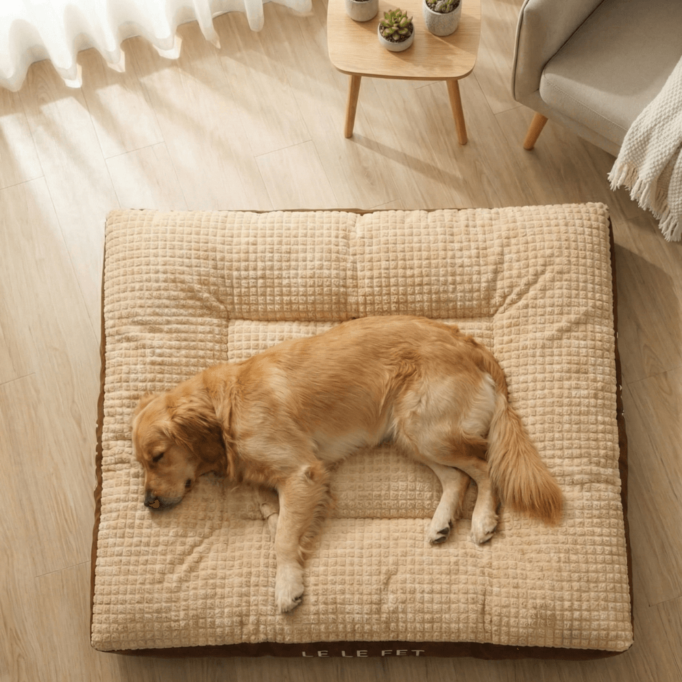 Vista dall alto del lettino cane che dorme tranquillo