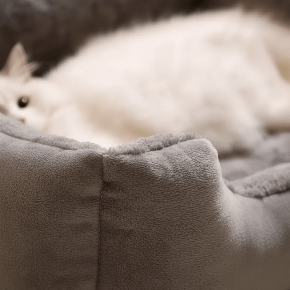 Dettaglio del lettino morbidezza rialzato gatto 