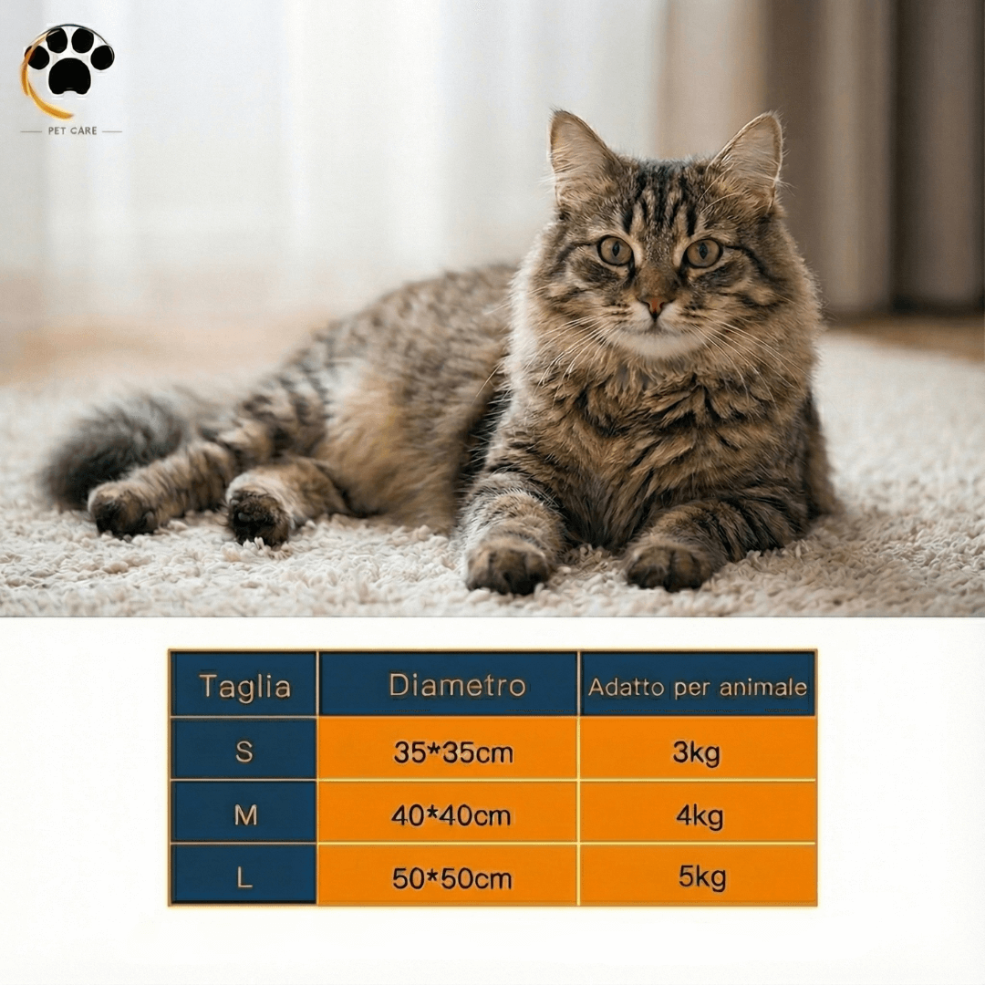 Tabella misurazioni dimensioni