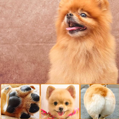 Multiuso cani e gatti 