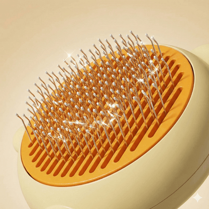 Dettaglio sui denti del pettine 