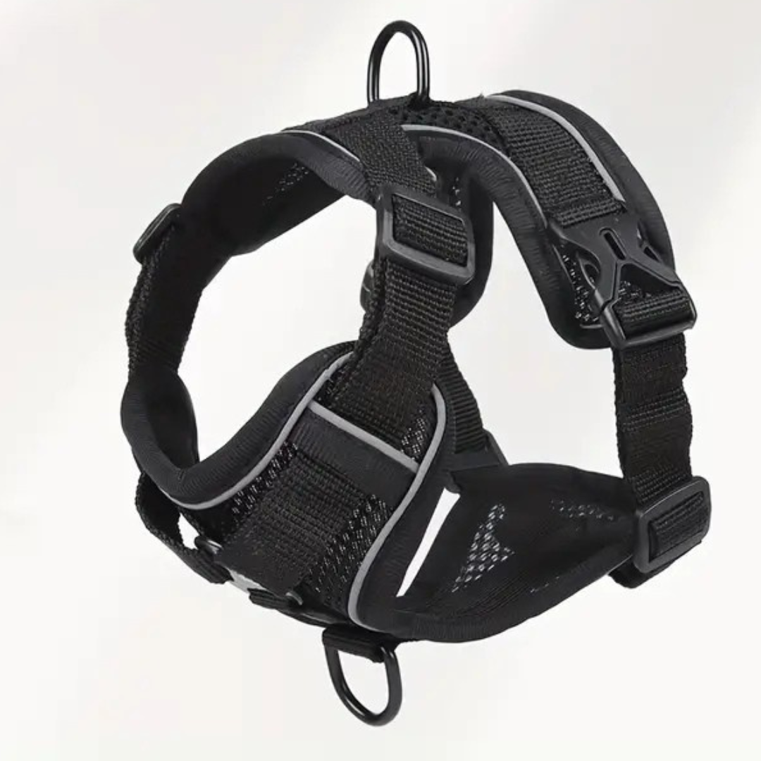 Prospettiva laterale della pettorina antifuga per gatti 