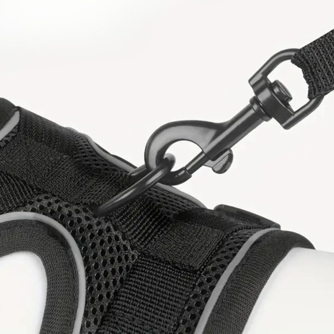 Dettaglio del gancio sulla pettorina 