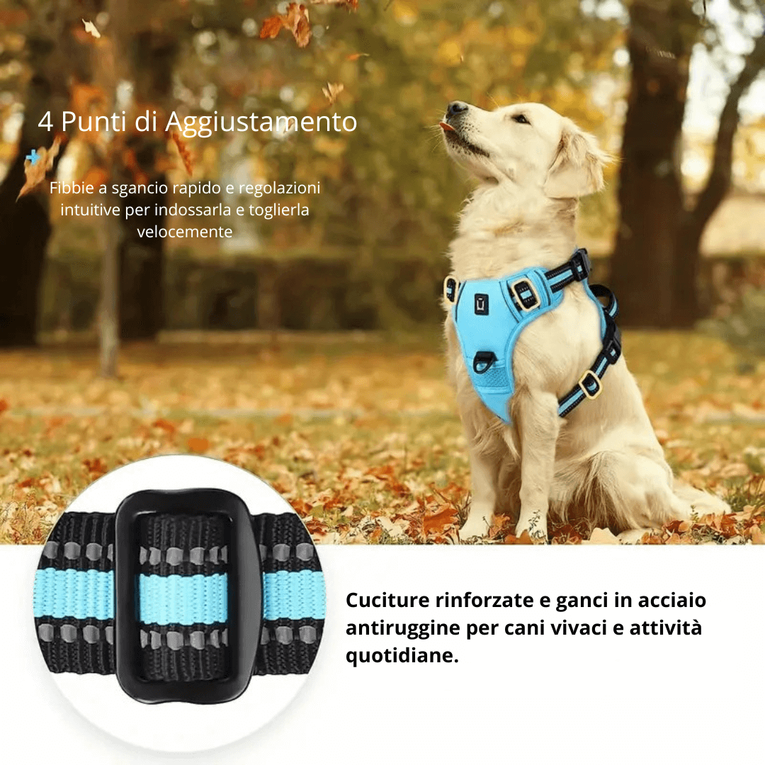 Cane in natura che indossa una pettorina fibbie sgancio rapide ,cuciture di qualita e ganci rinforzati