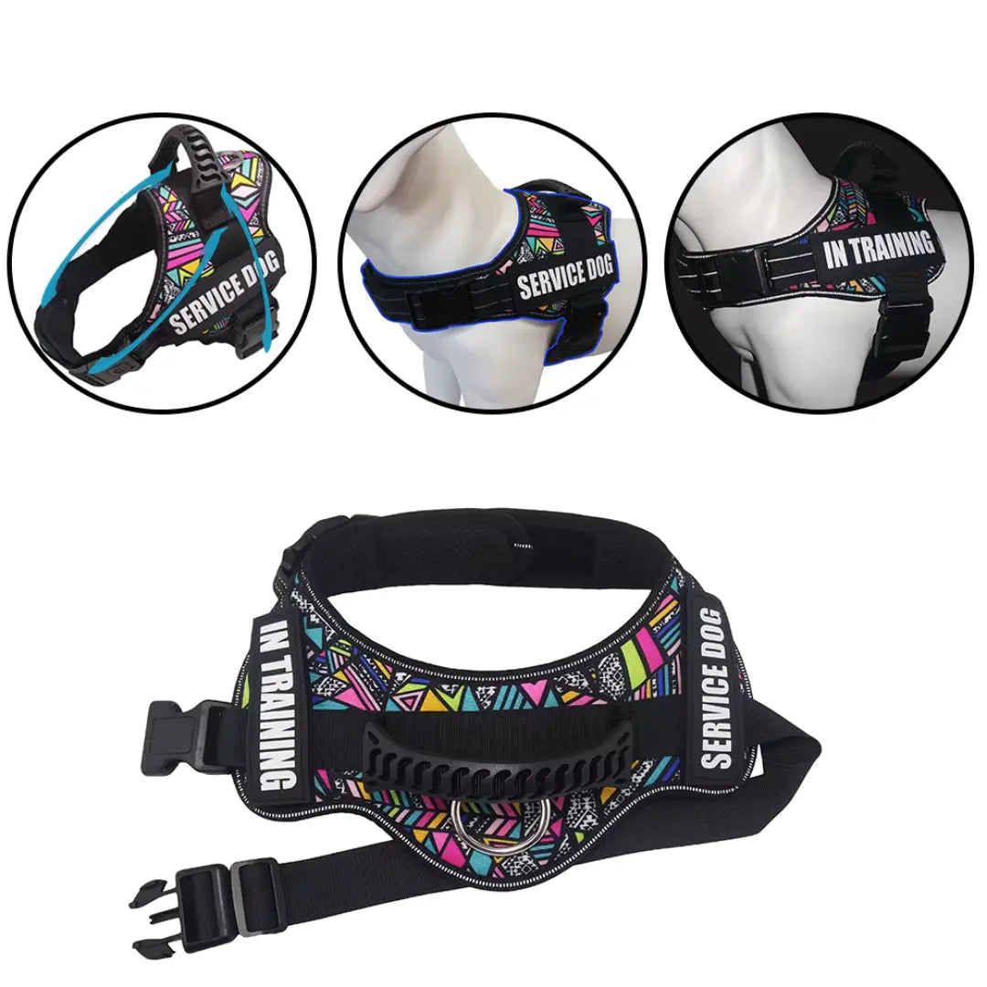 accessorio per cani con imbottitura traspirante