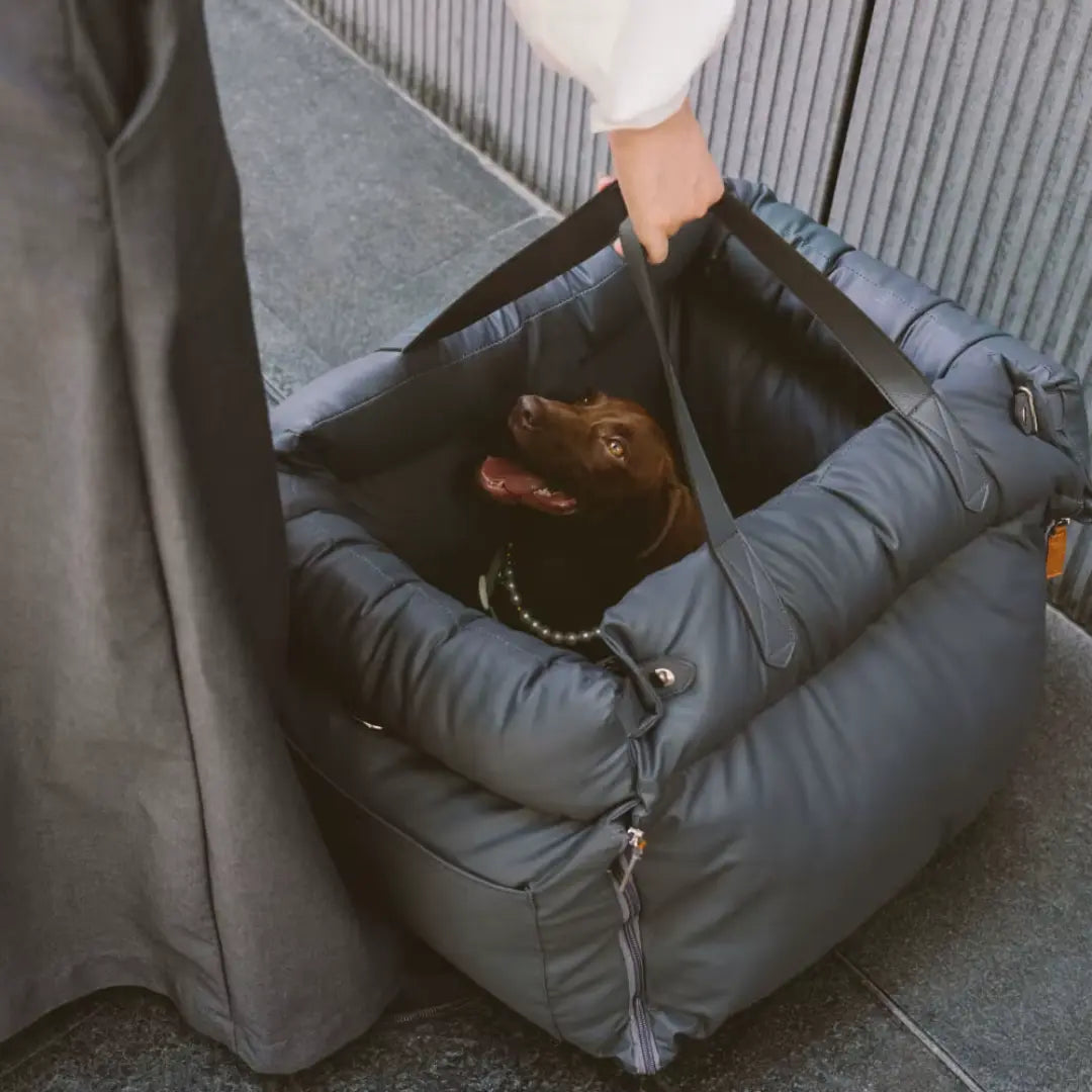 Vista interna del seggiolino sicuro per cani con materiali morbidi e resistenti