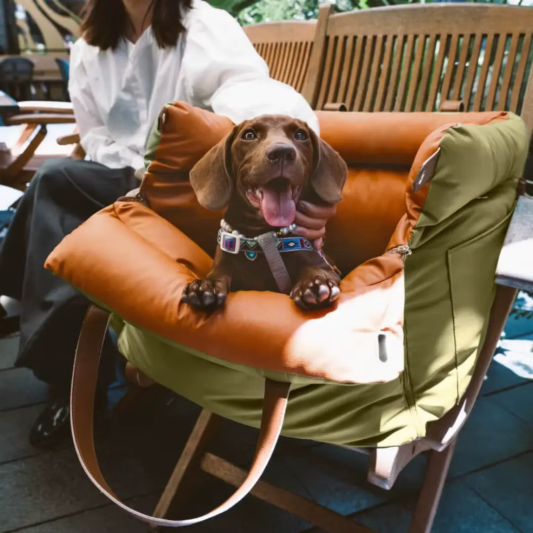 Seggiolino_auto_cuccia comoda per cani 