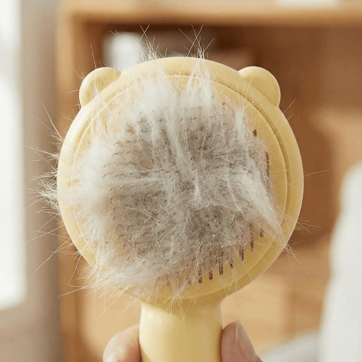 Vista frontale spazzola intrappola peli 