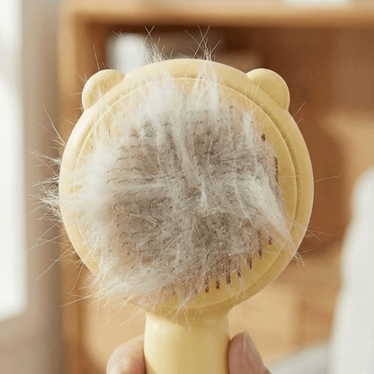 Vista frontale spazzola intrappola peli 