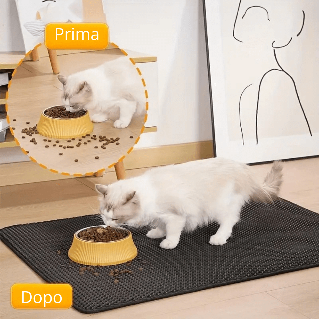 Gatto che mangia con e senza lettiera