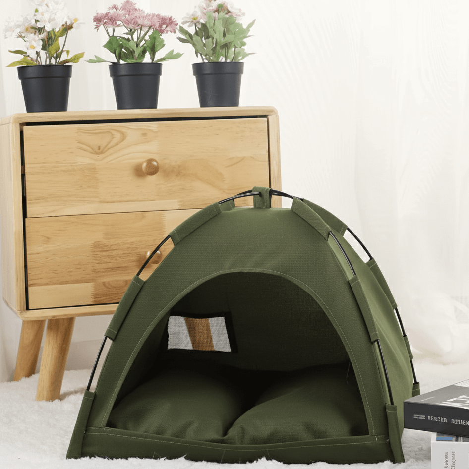 Tenda per gatti modello Verde militare  in soggiorno vuota
