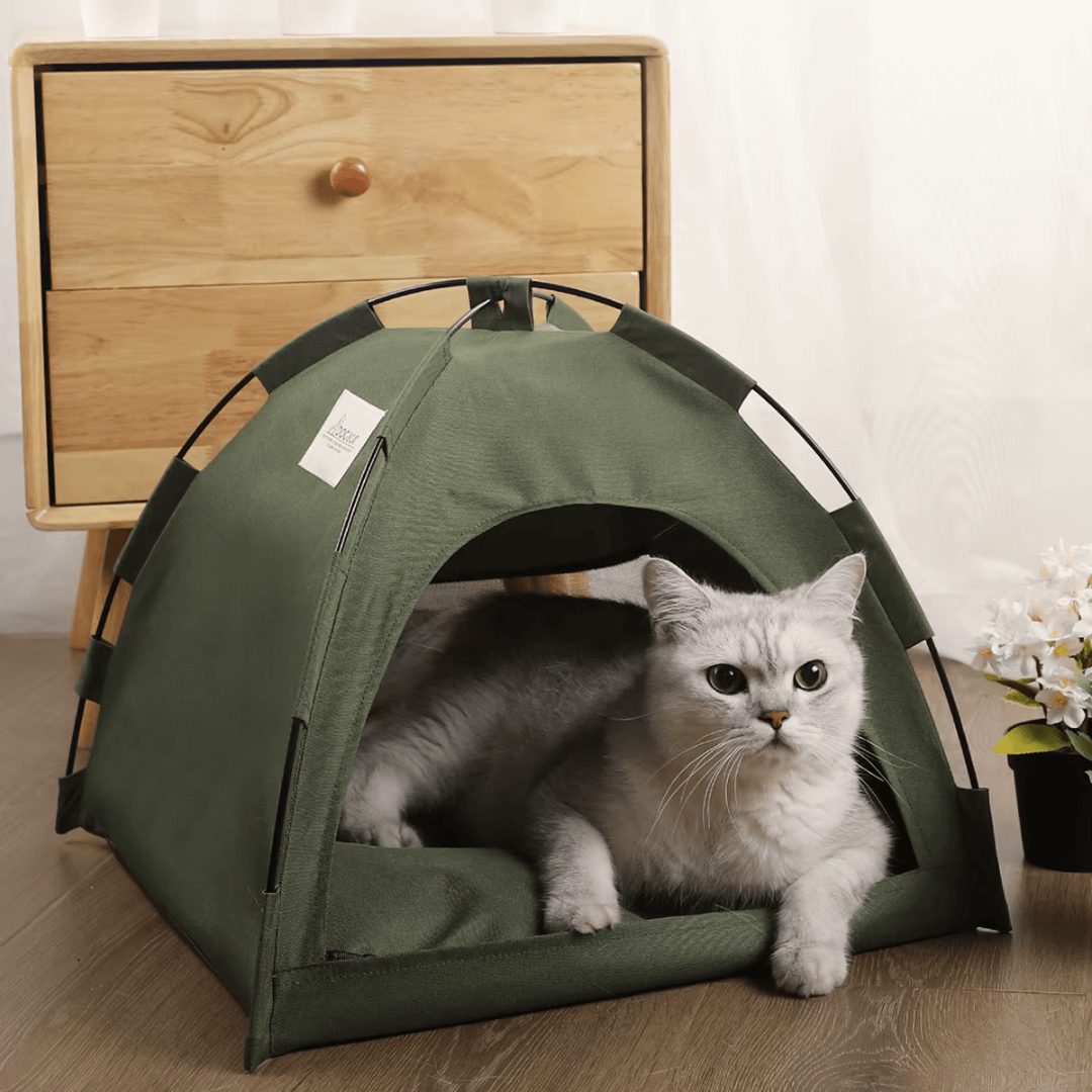 Tenda per gatti morbida e stabile con design elegante gatto interno 