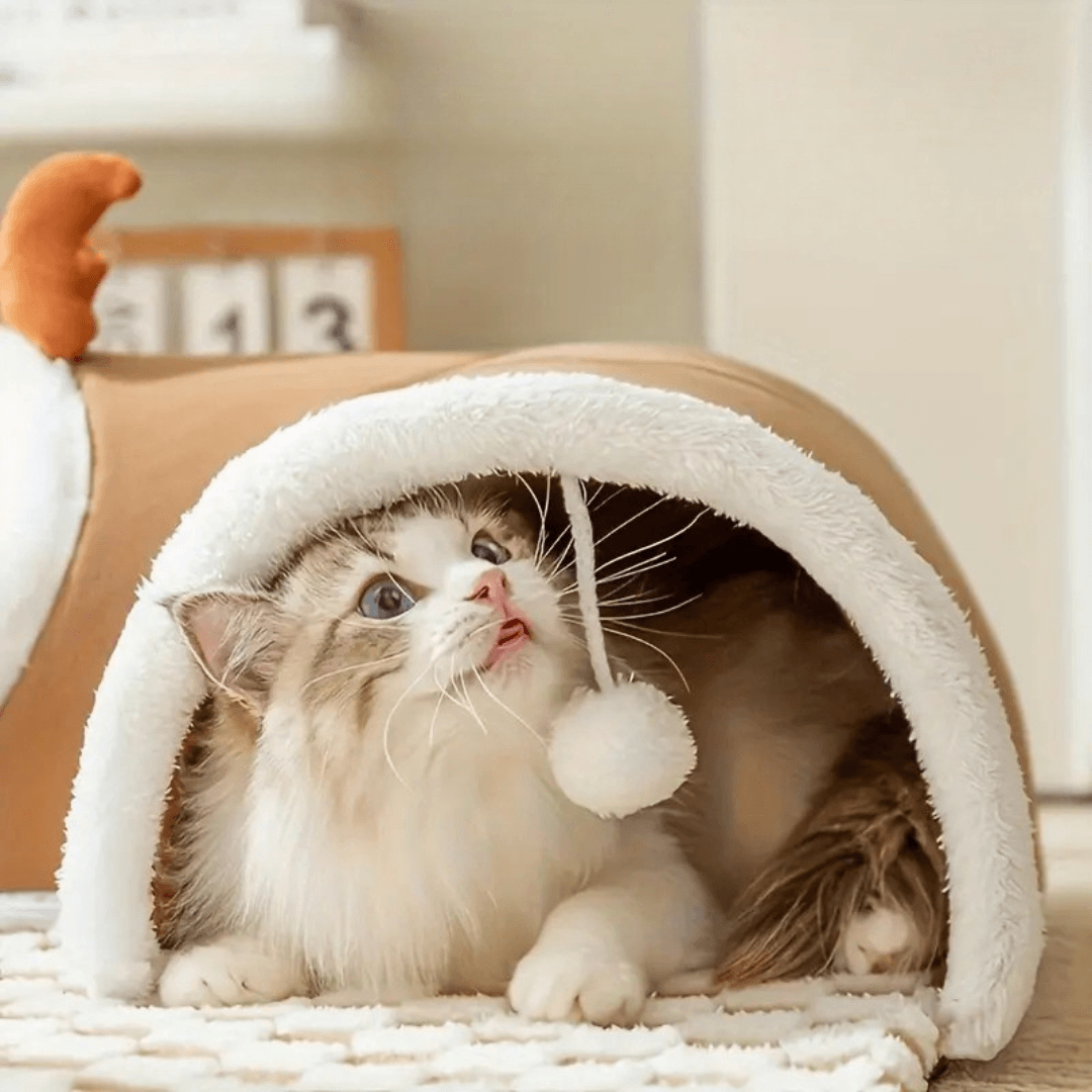 Gatto nel tunnel che gioca con la pallina 