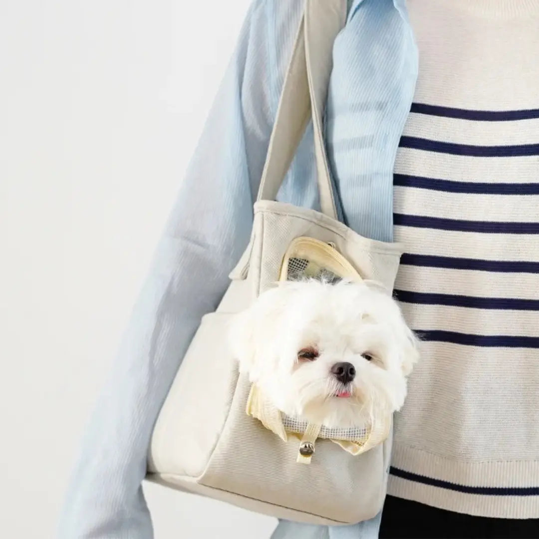 borsa trasportino per cani leggera 