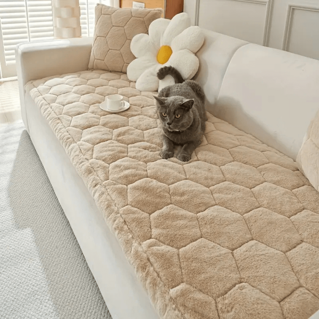 copertura divano per gatti soffice resistente morbida