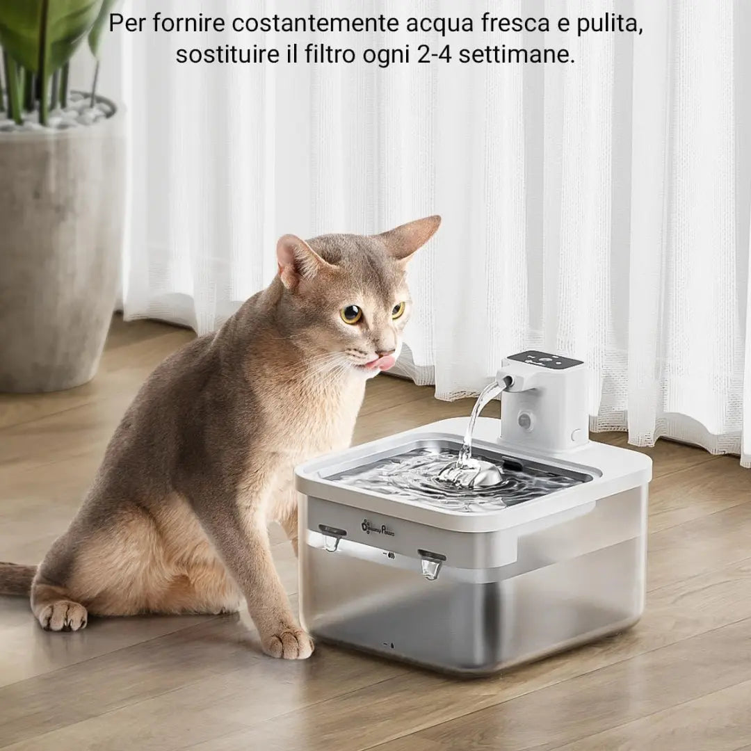 DownyPaws fontanella per gatti senza corrente silenziosa