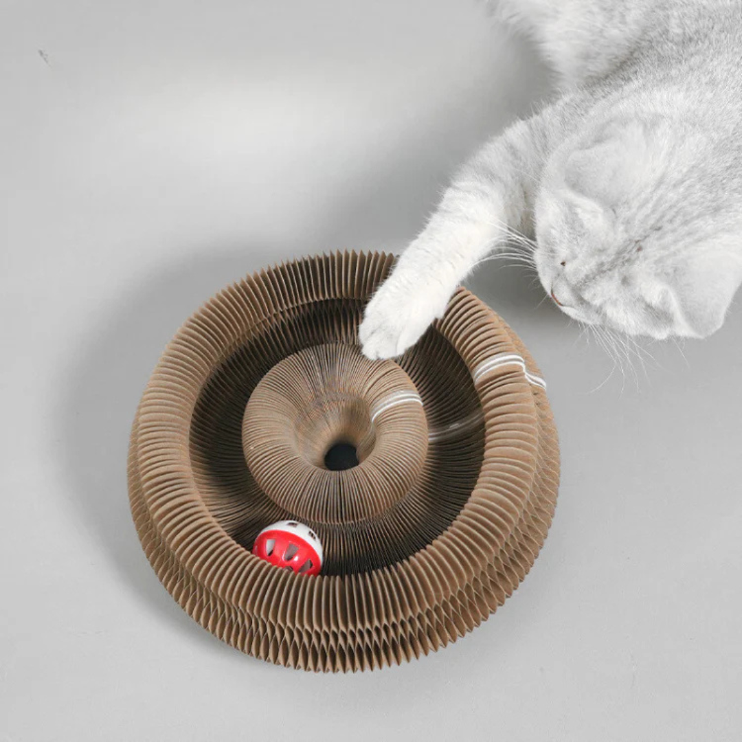 Gatto che gioca con tiragraffi in cartone ondulato