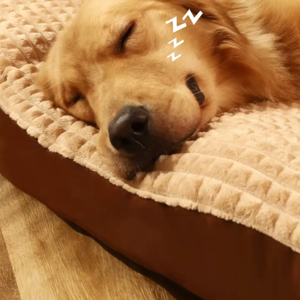 lettino per cane grande  testa_collo_no_stress