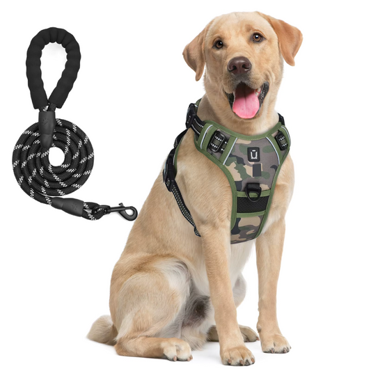 pettorina cane taglia media militare sicura
