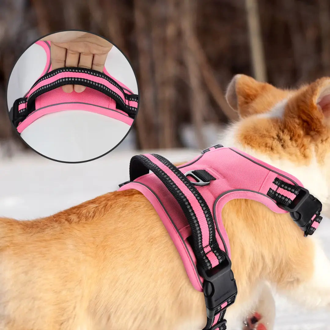 Pettorina per cane anti-tiro regolabile e antifuga, adatta a cani di tutte le taglie, per passeggiate sicure e confortevoli.
