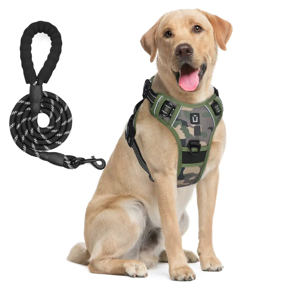 Pettorina regolabile anti-tiro e antifuga per cani piccoli, medi e grandi, ideale per il controllo e la sicurezza durante le passeggiate.