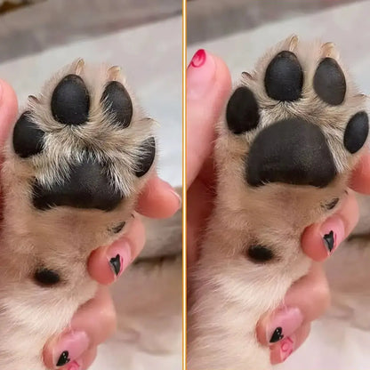 rasoio_elettrico_per_cani_e_gatti Pima_e_dopo